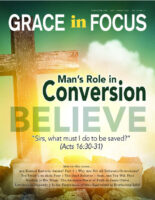 Grace in Focus Back Issues